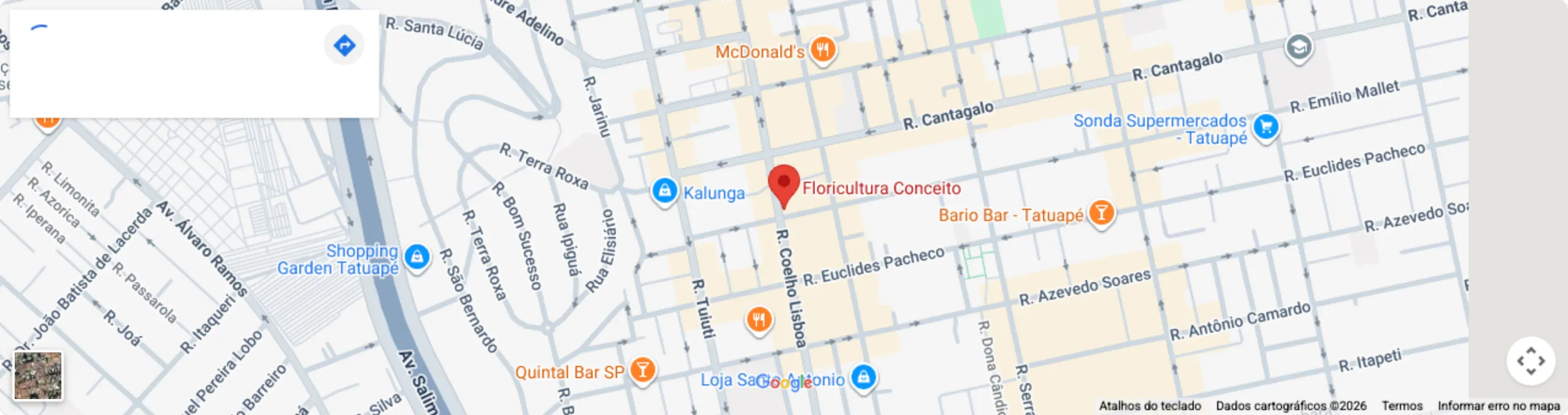 Mapa mostrando a Floricultura Conceito na R. Coelho Lisboa, 393 — Tatuapé